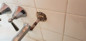 Shower Valve Repair Takoma Park